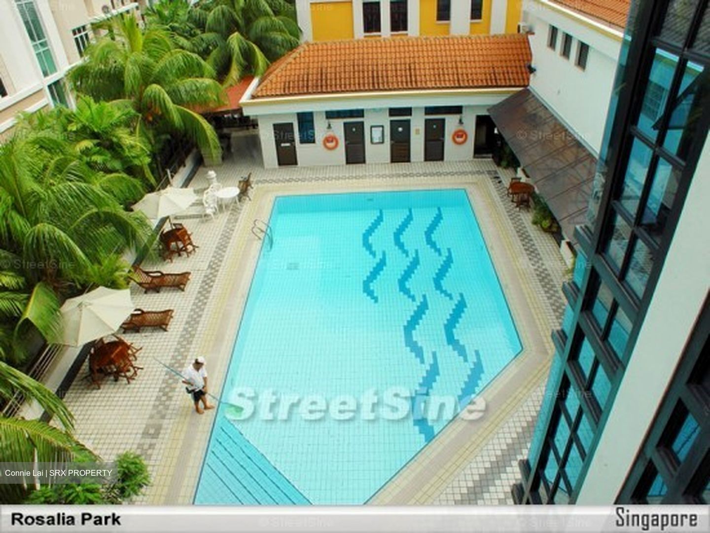 Rosalia Park (D19), Condominium #589201431